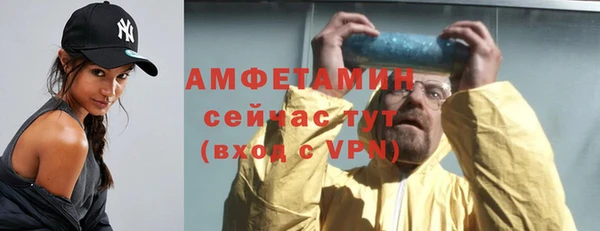 прущие грибы Пересвет