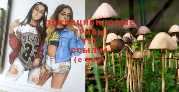 индика Остров