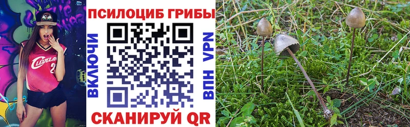 Псилоцибиновые грибы прущие грибы  Чухлома 
